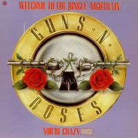 Cover Guns N' Roses - Welcome To The Jungle