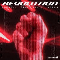 Cover Hardwell, Timmy Trumpet, Maddix - Revolution