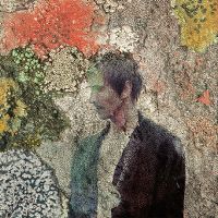 Cover Helgi Jonsson - Intelligentle