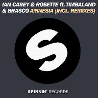Cover Ian Carey & Rosette feat. Timbaland & Brasco - Amnesia
