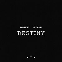 Cover Idaly feat. Adje - Destiny