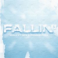 Cover Idaly feat. SFB & Ronnie Flex - Fallin'
