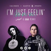 Cover Imanbek / Martin Jensen - I'm Just Feelin' (Du Du Du)