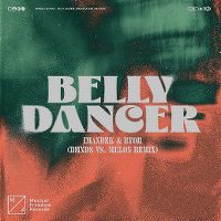 Cover Imanbek & BYOR - Belly Dancer