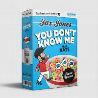 Cover Jax Jones feat. Raye - You Don't Know Me