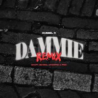 Cover JayKoppig, Hekje31 & Frsh - Dammie