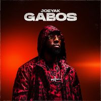 Cover JoeyAK - Gabos