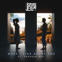 Cover Jonas Blue feat. Theresa Rex - What I Like About You