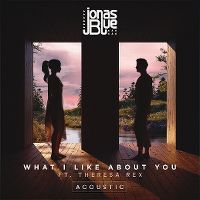 Cover Jonas Blue feat. Theresa Rex - What I Like About You