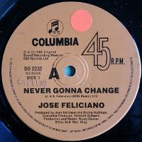 Cover José Feliciano - Never Gonna Change