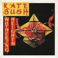 Cover Kate Bush - Wuthering Heights