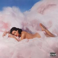 Cover Katy Perry - Teenage Dream