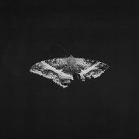 Cover Kendrick Lamar - To Pimp A Butterfly