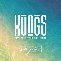 Cover Kungs feat. Jamie N Commons - Don't You Know