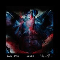 Cover Lady Gaga - Venus