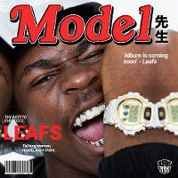 Cover Leafs - Model