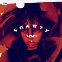 Cover Leafs feat. Ramiks - Shawty