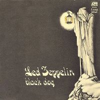 Cover Led Zeppelin - Black Dog