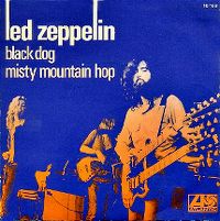 Cover Led Zeppelin - Black Dog