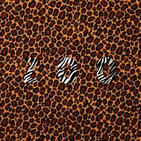Cover Leyya - Zoo