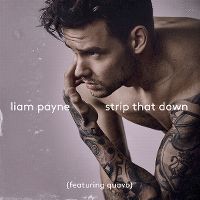 Cover Liam Payne feat. Quavo - Strip That Down