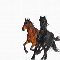 Cover Lil Nas X feat. Billy Ray Cyrus - Old Town Road (Remix)