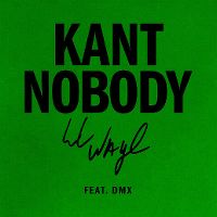 Cover Lil Wayne feat. DMX - Kant Nobody
