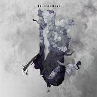 Cover Linkin Park - Final Masquerade
