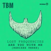 Cover Lost Frequencies - Are You With Me