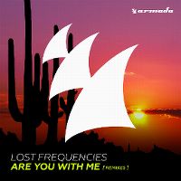 Cover Lost Frequencies - Are You With Me