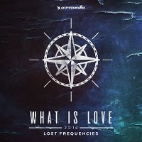 Cover Lost Frequencies - What Is Love 2016