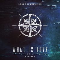 Cover Lost Frequencies - What Is Love 2016