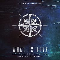 Cover Lost Frequencies - What Is Love 2016