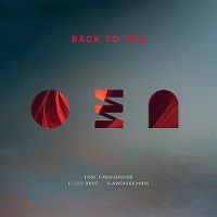 Cover Lost Frequencies / Elley Duhé / X Ambassadors - Back To You