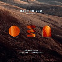 Cover Lost Frequencies / Elley Duhé / X Ambassadors - Back To You