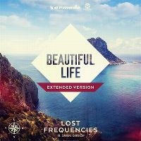 Cover Lost Frequencies feat. Sandro Cavazza - Beautiful Life
