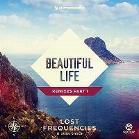 Cover Lost Frequencies feat. Sandro Cavazza - Beautiful Life