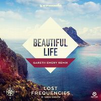 Cover Lost Frequencies feat. Sandro Cavazza - Beautiful Life