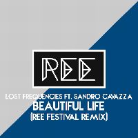 Cover Lost Frequencies feat. Sandro Cavazza - Beautiful Life