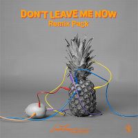 Cover Lost Frequencies & Mathieu Koss - Don't Leave Me Now