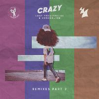 Cover Lost Frequencies & Zonderling - Crazy