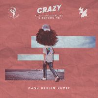 Cover Lost Frequencies & Zonderling - Crazy