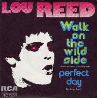 Cover Lou Reed - Walk On The Wild Side