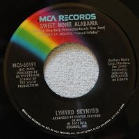 Cover Lynyrd Skynyrd - Sweet Home Alabama