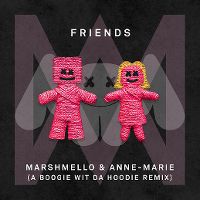 Cover Marshmello & Anne-Marie - Friends