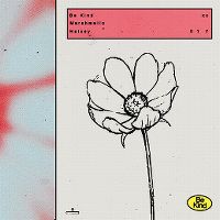 Cover Marshmello & Halsey - Be Kind
