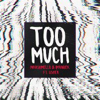 Cover Marshmello & Imanbek feat. Usher - Too Much