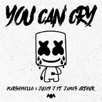 Cover Marshmello x Juicy J feat. James Arthur - You Can Cry