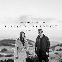Cover Martin Garrix & Dua Lipa - Scared To Be Lonely