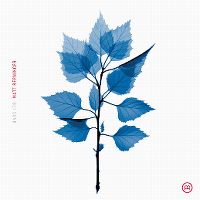 Cover Matt Berninger - Get Sunk